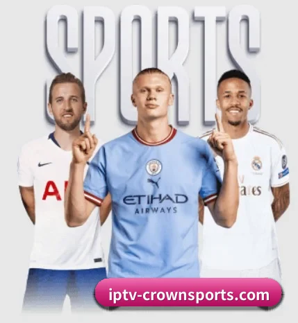 本站五个常用功能入口,赛程查询路径更短 | CROWN SPORTS